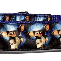Gizmo/Gremlins dog collar handmade adjustable buckle 1" or 5/8" wide or leash