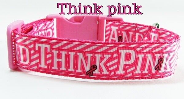 Think Pink dog collar Handmade adjustable buckle collar 1" wide or leash
