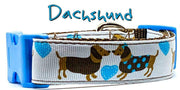 Dachshund dog collar handmade adjustable buckle collar 1" wide or leash Boy blue - Furrypetbeds