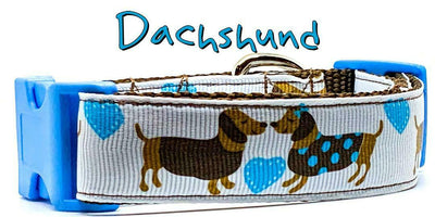 Dachshund dog collar handmade adjustable buckle collar 1